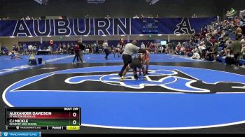 160 lbs Quarterfinal - Cj Mickle, McAdory High School vs Alexander Davidson, Ft Walton Beach H S