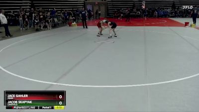 60 lbs Cons. Round 2 - Jace Gahler, Pierz vs Jacob Skapyak, Lakeville