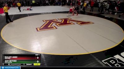 132 lbs Quarterfinal - Sulley Anez, Willmar vs Sam Bethke, Stillwater