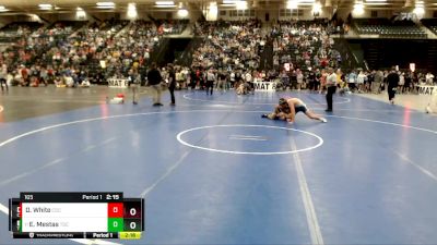 165 lbs Champ. Round 1 - Erik Mestas, Trinidad State vs Dylan White, Chadron State