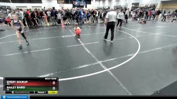 67-73 lbs Quarterfinal - Emery Soukup, MN vs Bailey Baird, KS