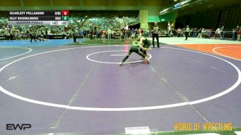 66 lbs Quarterfinal - Scarlett Pellandini, Greenwave Youth Wrestling Club vs Elly Busselberg, Shootbox