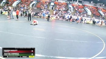 65 lbs Quarterfinal - Mason Haslett, Cadillac vs Dayton Horneck, Askren Wrestling Academy