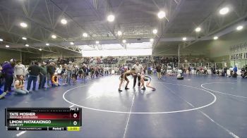 126 lbs Champ. Round 1 - Limoni Matakaiongo, Cedar City vs Tate Mosher, Ridgeline Riverhawks