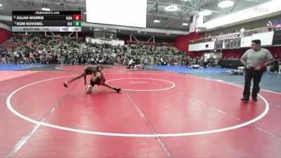 115 lbs Cons. Round 3 - Dom Novosel, Dela Salle vs Julian Morris, Albany