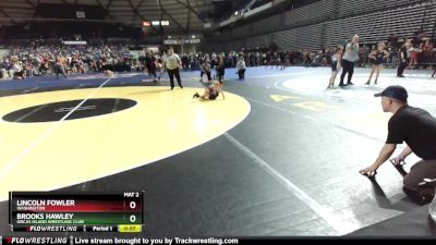 41-45 lbs Quarterfinal - Lincoln Fowler, Washington vs Brooks Hawley, Orcas Island Wrestling Club