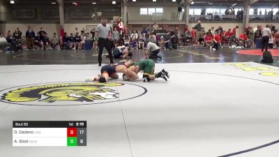 141 lbs Final - Dylan Cedeno, Virginia vs Anthony Glasl, George Mason