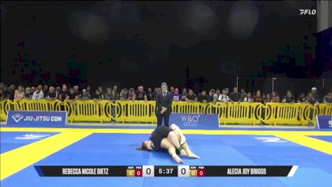 Alecia Joy Briggs vs Rebecca Nicole Dietz 2025 Pan IBJJF Jiu-Jitsu No-Gi Championship