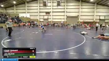 102 lbs Champ Round 1 (16 Team) - Colby Tennant, Fremont vs Leo DeLeon, Beaver