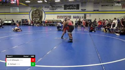 JV-47 lbs Round 1 - Dylan Schaul, West Delaware, Manchester vs Amir Dunlap-Gillespie, Assumption, Davenport