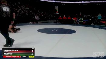 110 lbs Quarterfinal - Nic Honig, Mountain Vista vs Janessa George, Chatfield