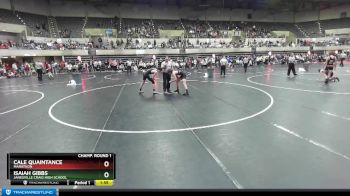 119 lbs Champ. Round 1 - Cale Quaintance, Marathon vs Isaiah Gibbs, Janesville Craig High School