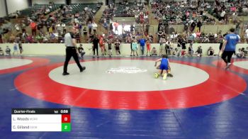 73 lbs Quarterfinal - Luke Woods, Morris Fitness Wrestling Club vs Collin Gilland, Georgia