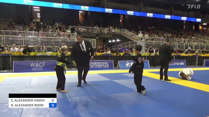 CALLEN ALEXANDER HASENAUER vs NICHOLAS ALEXANDER RODRIGUEZ 2024