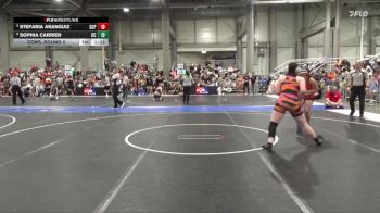 170 lbs Cons. Round 2 - Sophia Carrier, Clay County vs Stefania Aranguiz, South Central Punisher