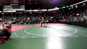 85 lbs Champ. Round 2 - Chase Spitza, LABA vs Aris Sewell, FSJ3