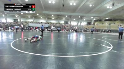 103 lbs Semifinal - Peyton Bojorquez, TN Wrestling Academy vs Weston Chesnut, Williamson Co Wrestling Club