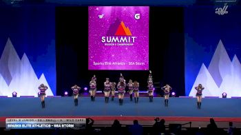 Sparks Elite Athletics - SEA Storm [2026 L2 Junior - D2 - Small - A Wild Card] 2026 The D2 Summit