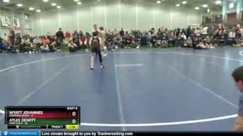 90 lbs Round 3 (6 Team) - Atlee Dewitt, Iowa Gold vs Wyatt Johannes, Montana White
