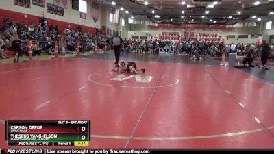 50 lbs Champ. Round 1 - Theseus Yang-Elson, Summit Wrestling Academy vs Carson DeFoe, LITTLE FALLS