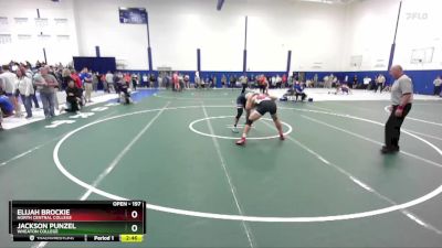 197 lbs Quarterfinal - Jackson Punzel, Wheaton College vs Elijah Brockie, North Central College