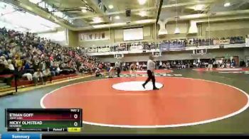 132 lbs Semifinal - Ethan Goff, West Linn vs Nicky Olmstead, Newberg