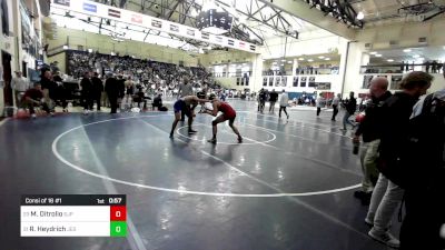 172 lbs Consi Of 16 #1 - Mike Ditrolio, St. Joe's Prep vs Robert Heydrich, Jesuit High School - Tampa