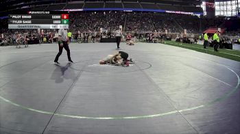 D2-106 lbs Quarterfinal - Tyler Sage, Linden HS vs Pilot Swab, Lakeshore HS