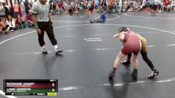 62 lbs Semifinal - Nathanael Kanagy, Palmetto State Wrestling vs Laken Anderson, Ninety Six Wrestling