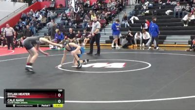 120 lbs Semifinal - Dylan Heater, Grinnell vs Cale Nash, Clear Creek-Amana