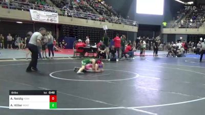 84 lbs Quarterfinal - Abigail Neidig, York, PA vs Alana Hillier, Montrose, PA