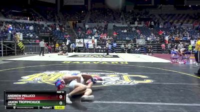 116 lbs Quarterfinal - Andrew Pellicci, Lincoln-Way WC vs Jaxon Trofimchuck, NWo WC