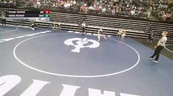 4A 130 lbs Quarterfinal - Nora Pickup, Mountain Crest vs Rylee Yeates, Bear River