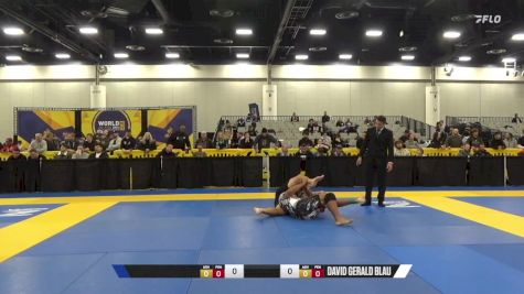 David Gerald Blau vs Michael Taylor Brown 2024 World IBJJF Jiu-Jitsu No-Gi Championship