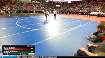 D3-132 lbs Quarterfinal - Elias Glinski, Crandon vs Dylan Dodson, Marathon