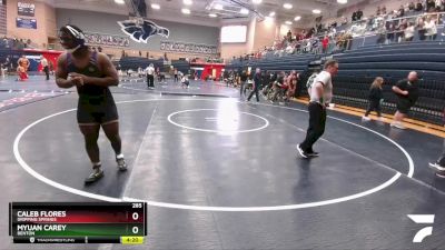 285 lbs Round 5 - Caleb Flores, Dripping Springs vs Myuan Carey, Benton