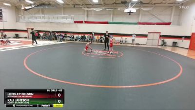 62 lbs Round 3 - Kali Jameson, North Big Horn Rams vs Hensley Nelson, Riverton USA Wrestling