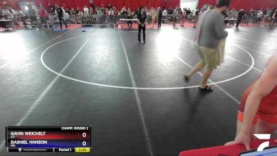 126 lbs Champ. Round 2 - Gavin Weichelt, CO vs Dashiel Hanson, MN