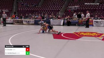 113 lbs Round Of 32 - Aidan Gruber, Lehighton vs Brock Holderbaum, Chestnut Ridge