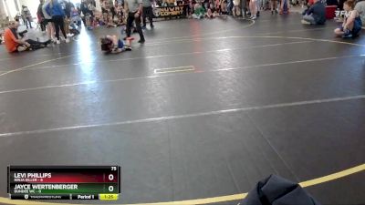 75 lbs Round 2 (6 Team) - Jayce Wertenberger, Dundee WC vs Levi Phillips, Ninja Killer