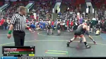 129 lbs Quarterfinals (8 Team) - Blake DeStefano, Dakota vs Casper Harbin, Brighton Orange