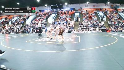 126 lbs Quarterfinals (8 Team) - Mackey McClelland, Yale vs Charles Bruder, Ogemaw Heights