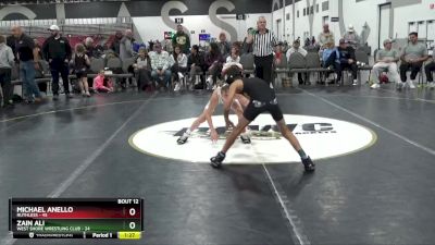 65 lbs Placement Matches (8 Team) - Zain Ali, West Shore Wrestling Club vs Michael Anello, Ruthless