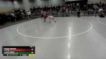 138 lbs Quarterfinal - Cadyn Wild, Big Game Wrestling Club vs Tyson Brown, Nebraska