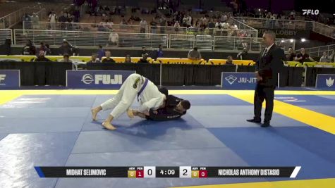Nicholas Anthony Distasio vs Midhat Selimovic 2025 Pan Jiu Jitsu IBJJF Championship