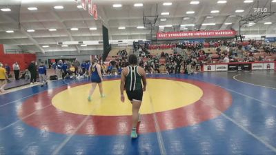 207 lbs Round 5 (12 Team) - Talisha Lewis, Felician vs Emily Dudar, Western New England