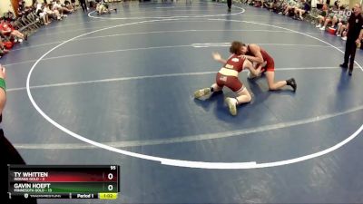 95 lbs Quarterfinals (8 Team) - Gavin Hoeft, Minnesota Gold vs Ty Whitten, Indiana Gold