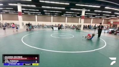 62 lbs Semifinal - Julianna Escobar, Gracie Barra Westchase Wrestling Club vs Axel Forsman, Vici Wrestling Club