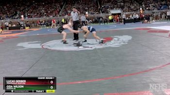 D1-138 lbs Champ. Round 1 - Ozia Wilson, Dakota HS vs Lucas Gerber, Temperance Bedford