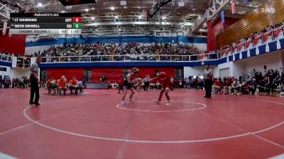 132 lbs Champ. Round 1 - LT Hawkins, Crown Point vs Seth Dewell, Lafayette Harrison